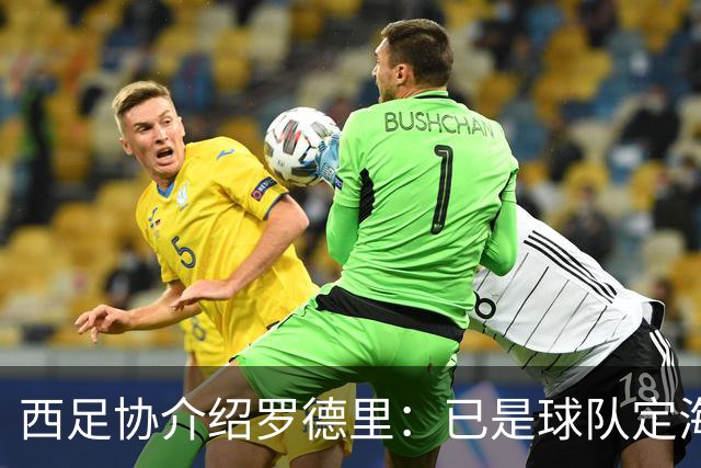 西足协介绍罗德里：已是球队定海神针，带领年轻球员向世界杯冲击